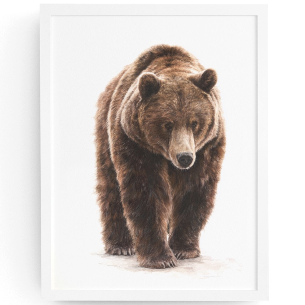 Watercolor Grizzly Bear Portrait Wall Art Print Poster - Unframed Artwork